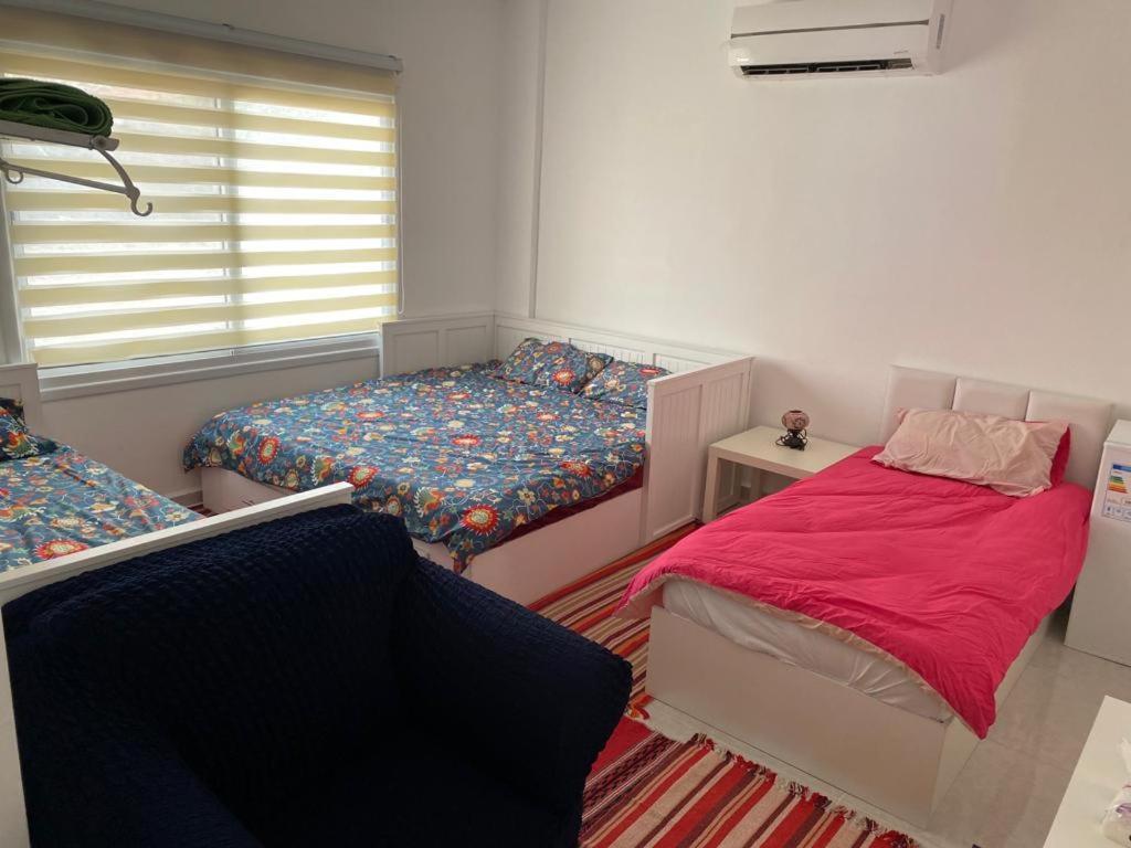 Jordan Guest House Wadi Musa Zewnętrze zdjęcie